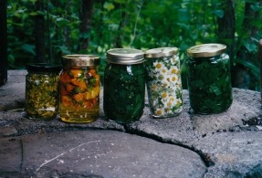 jars